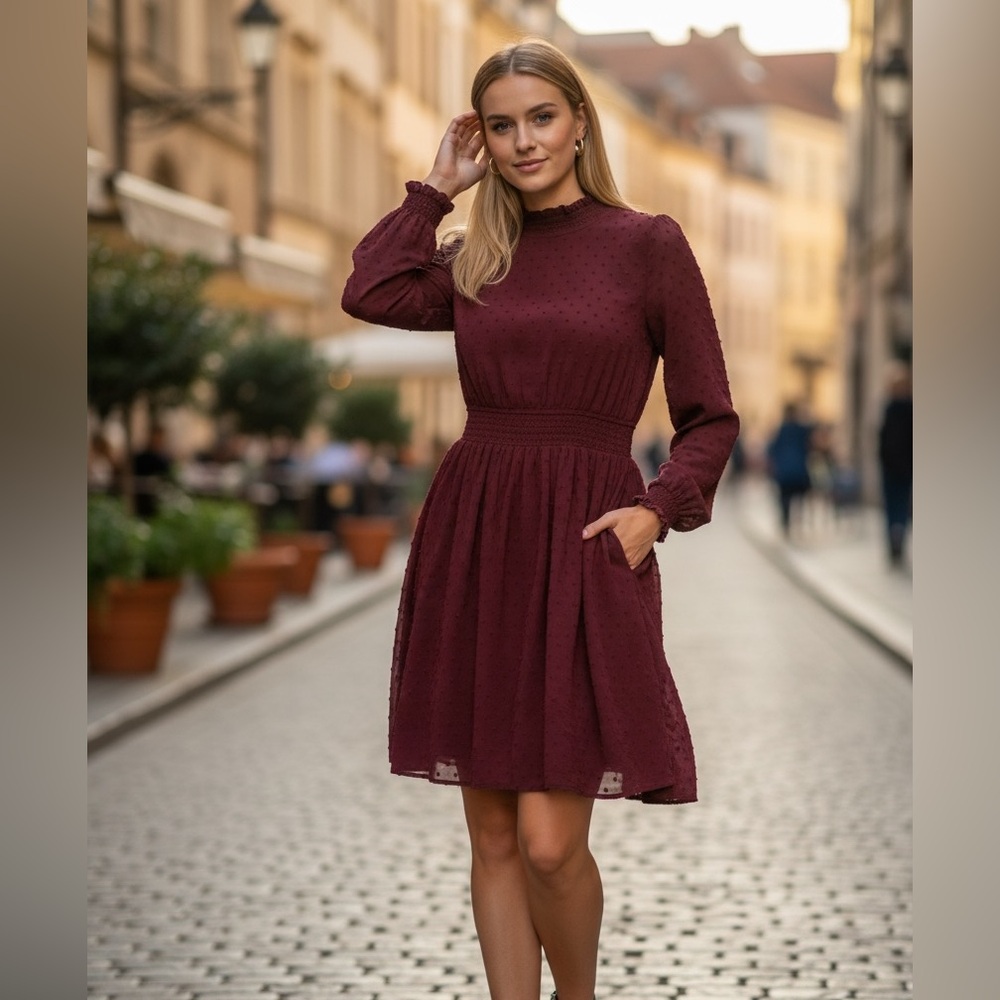 August Sky Burgundy Swiss Dot Mini Dress
